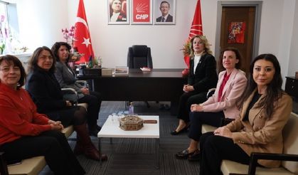 DEM Parti Kadın Meclisi'nden parti ziyaretleri açıklaması