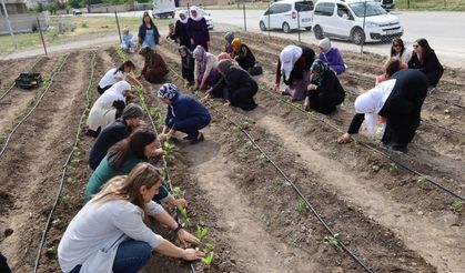 Kadın Kent Bostanları ile kent komünleri