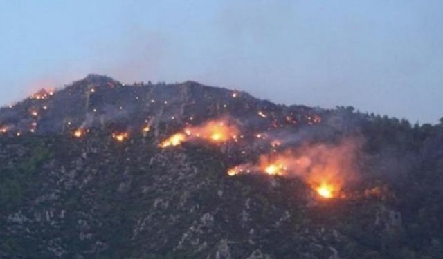 Ege Bölgesi’nin 3 kentinde orman yangını