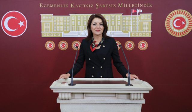 Gülcan Kış: “Pahalılık Yabancı Turistleri Kaçırıyor”