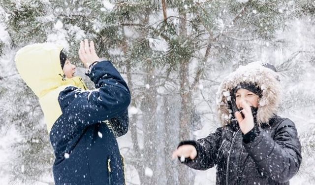 Hangi il ve ilçelerde okullar tatil?