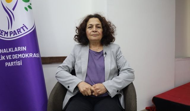 Çınar: Bu süreçte Meclis'in tatile girmesi sorundur