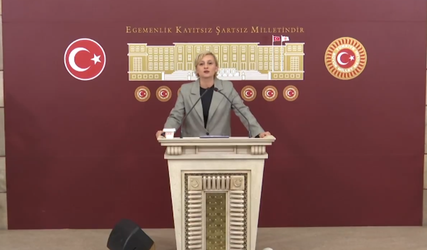 'Halklar arasına nifak sokan "paçavra" zihniyet kaybedecek!'