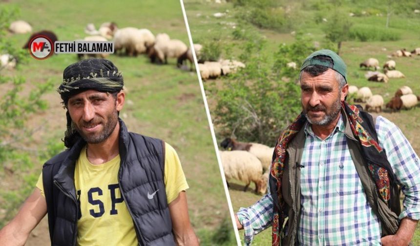 Koçerlerin doğayla yaşam yolculuğu başladı