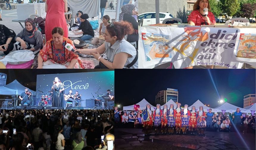 Amed Kadın Emek ve Kültür Sanat Buluşması konserle son buldu