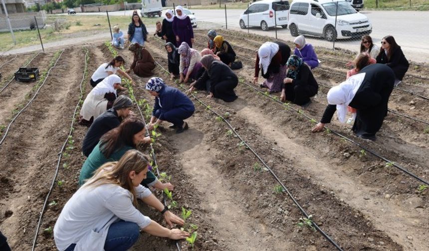 Kadın Kent Bostanları ile kent komünleri